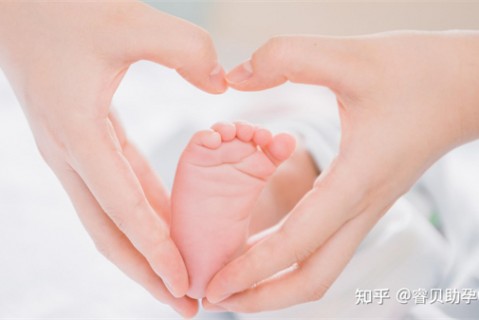 http://beijing.51dzb.net/post/188.html|北京新闻中心